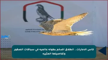 كأس الإمارات.. انطلاق أضخم بطولة عالمية في سباقات الصقور وتفاصيلها المثيرة